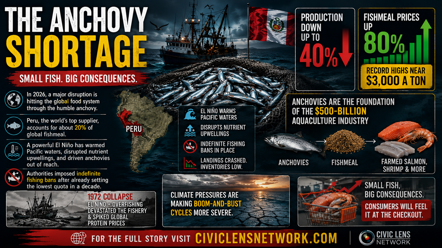 The Global Anchovy Crisis: Why a Tiny Fish Is Driving Up Your Seafood Prices